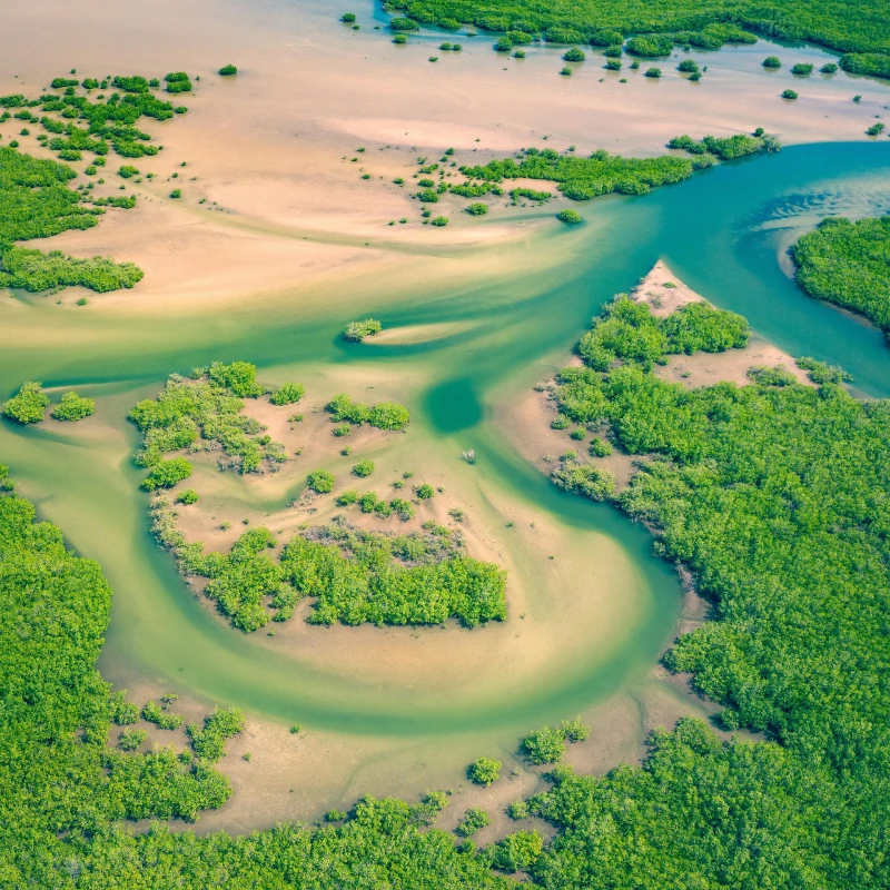Explorando Senegal
