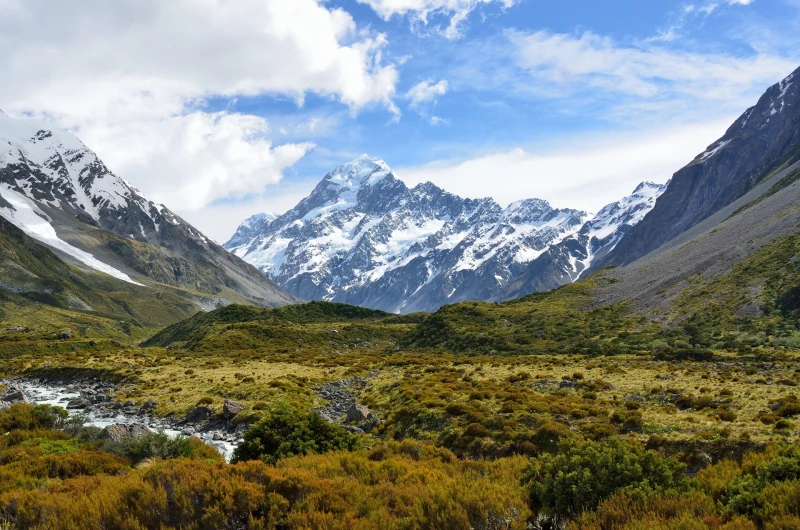 Nueva Zelanda