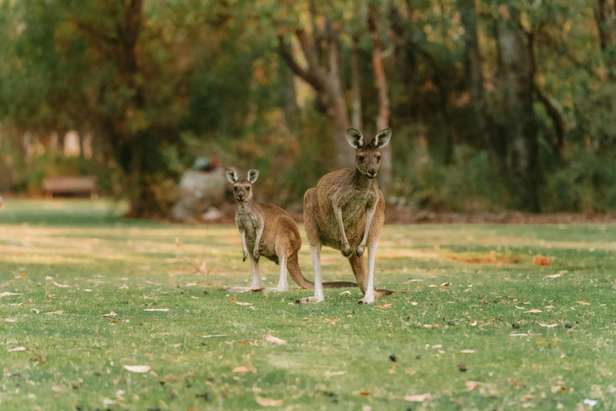 Australia Espectacular