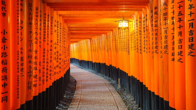 Japón a tu aire