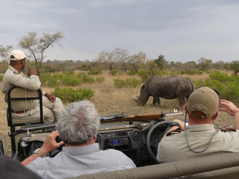 Safari (parte 1)